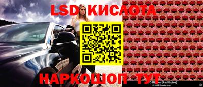 сатива Бузулук