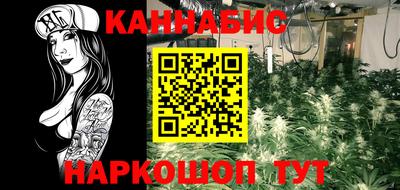 сатива Бузулук