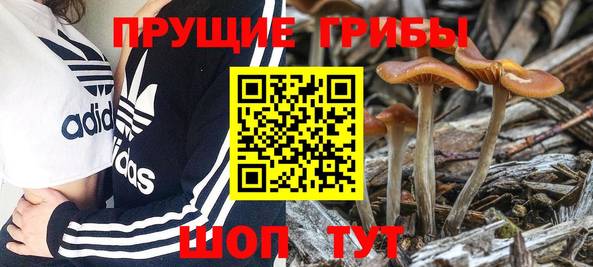 закладка  Галлюциногенные грибы мухоморы  Вход с VPN  Раменское 